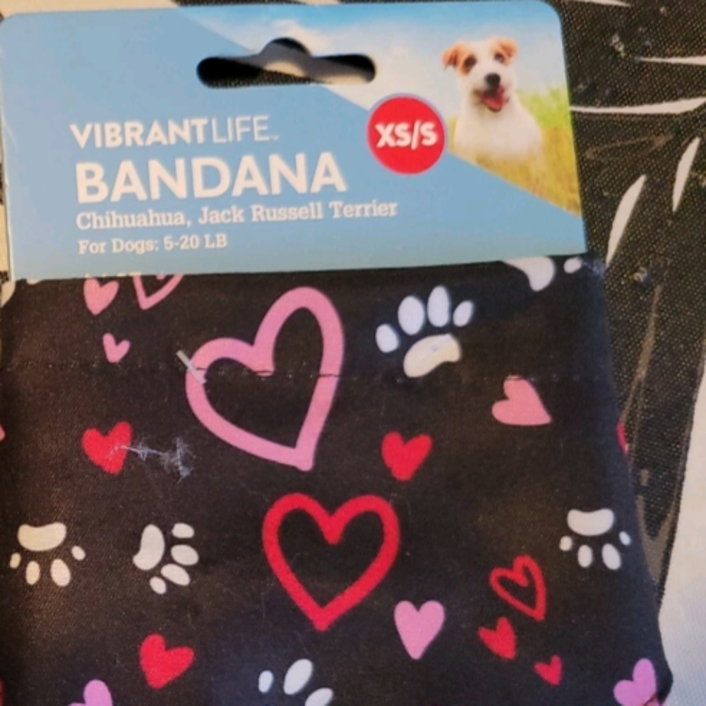 Vibrant Life Black and Pink Dog Bandana